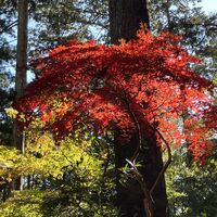 image_67549697.JPG